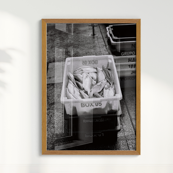 Quadro Box 05 por Angus Waddacor-McConill