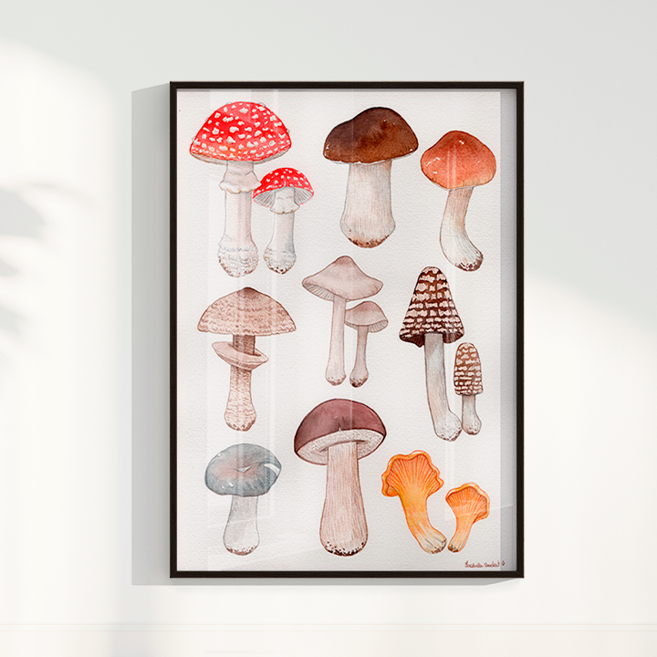 Quadro Desenhos Cogumelos por Isabela Almeida