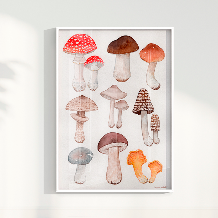 Quadro Desenhos Cogumelos por Isabela Almeida