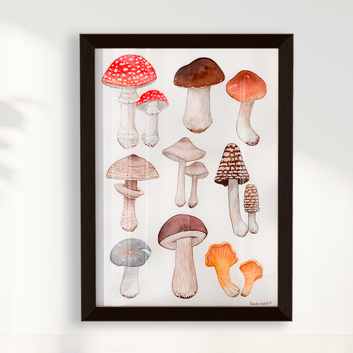 Quadro Desenhos Cogumelos por Isabela Almeida