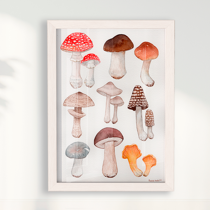 Quadro Desenhos Cogumelos por Isabela Almeida