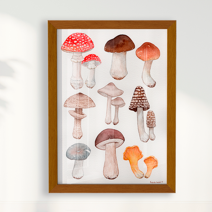 Quadro Desenhos Cogumelos por Isabela Almeida