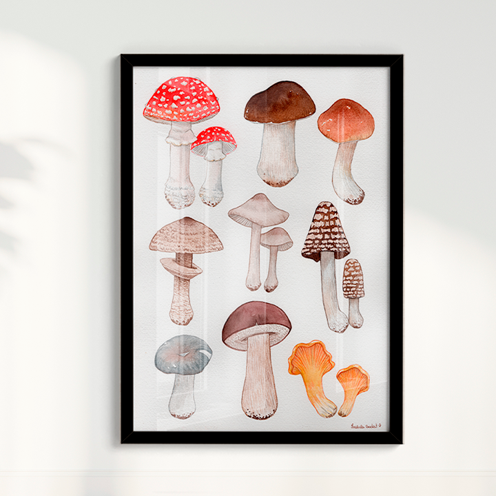 Quadro Desenhos Cogumelos por Isabela Almeida