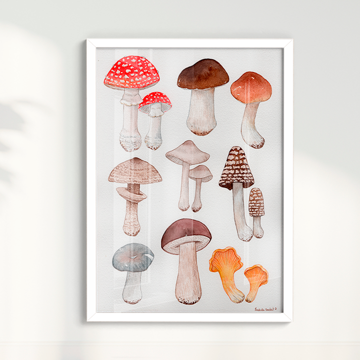 Quadro Desenhos Cogumelos por Isabela Almeida