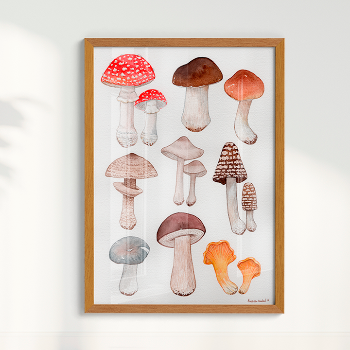 Quadro Desenhos Cogumelos por Isabela Almeida