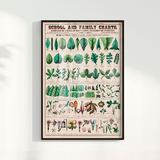 Quadro chart II