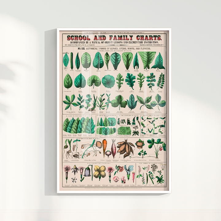 Quadro chart II
