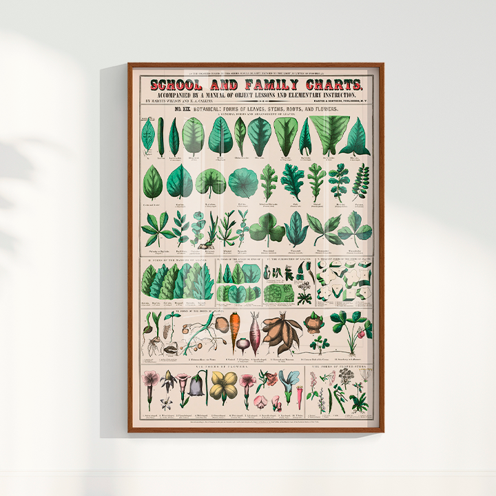 Quadro chart II