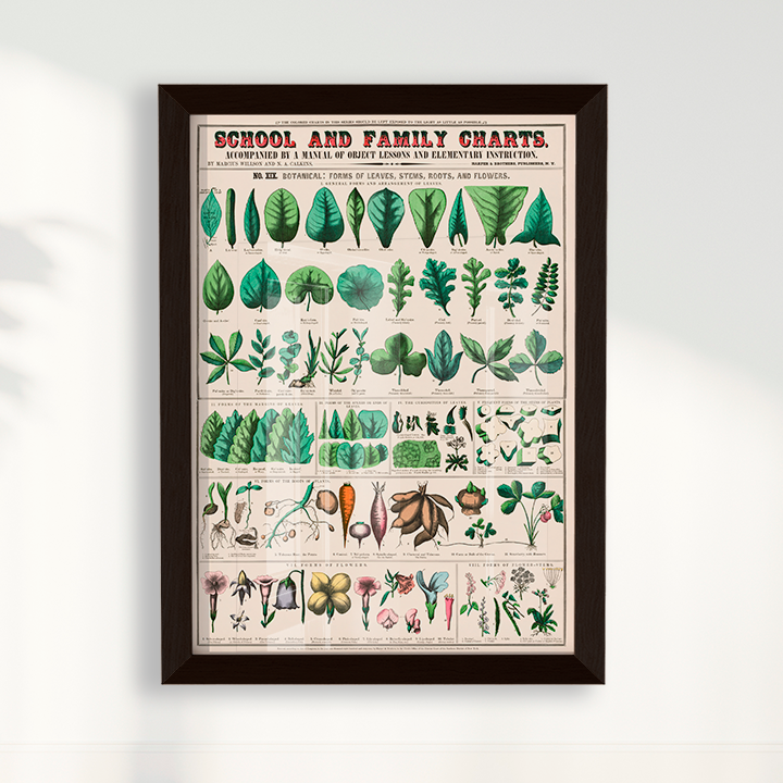 Quadro chart II