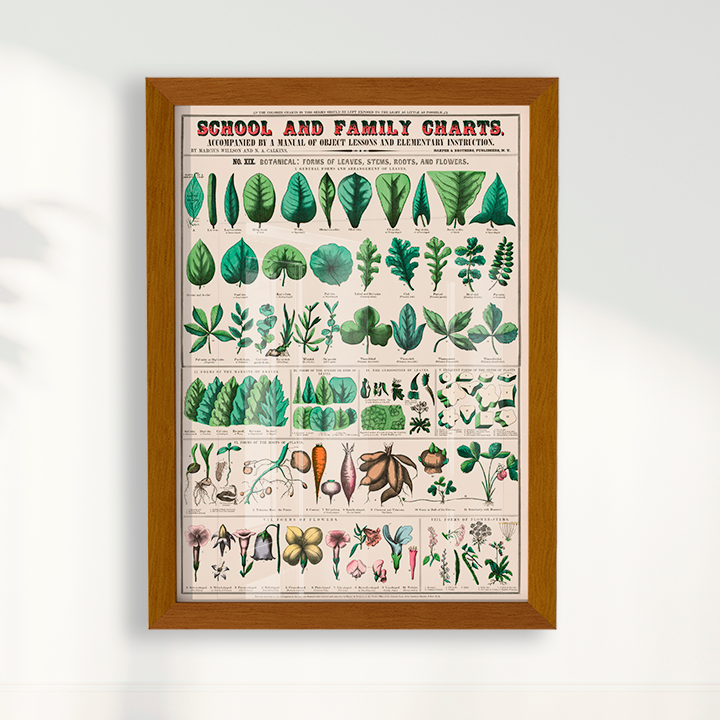 Quadro chart II