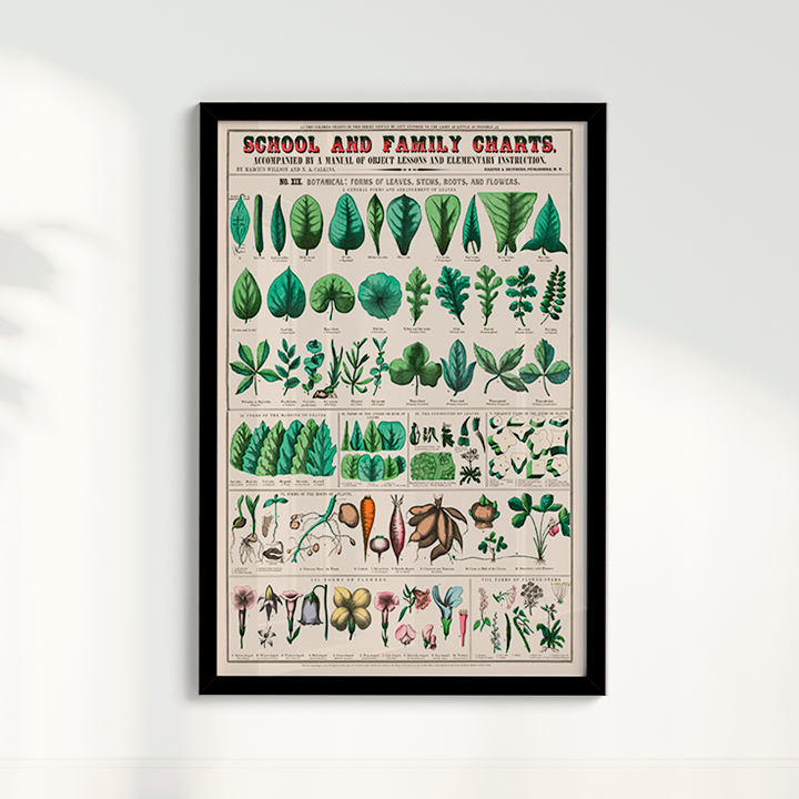 Quadro chart II