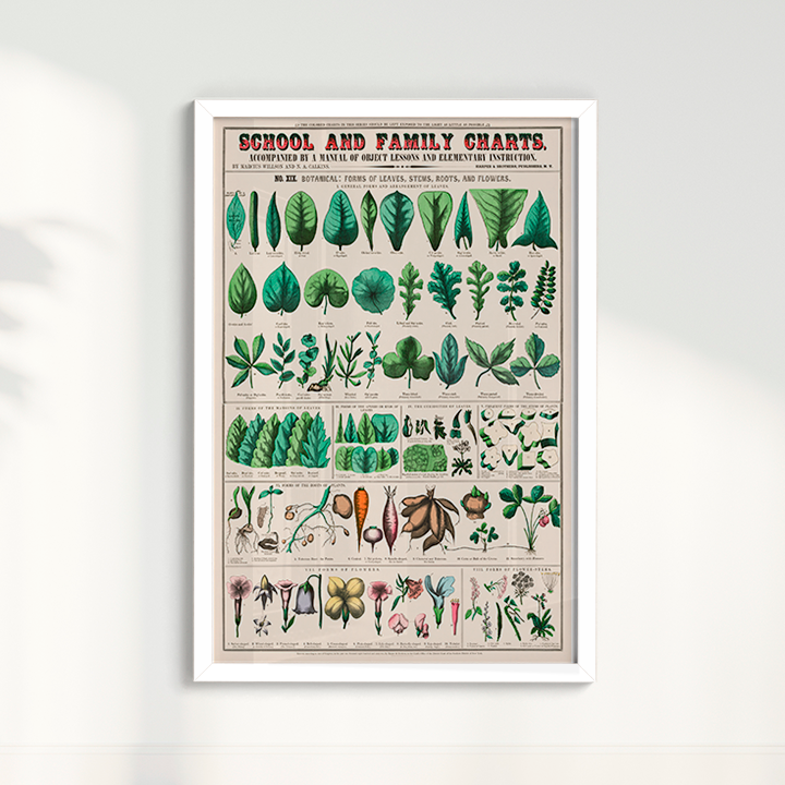 Quadro chart II