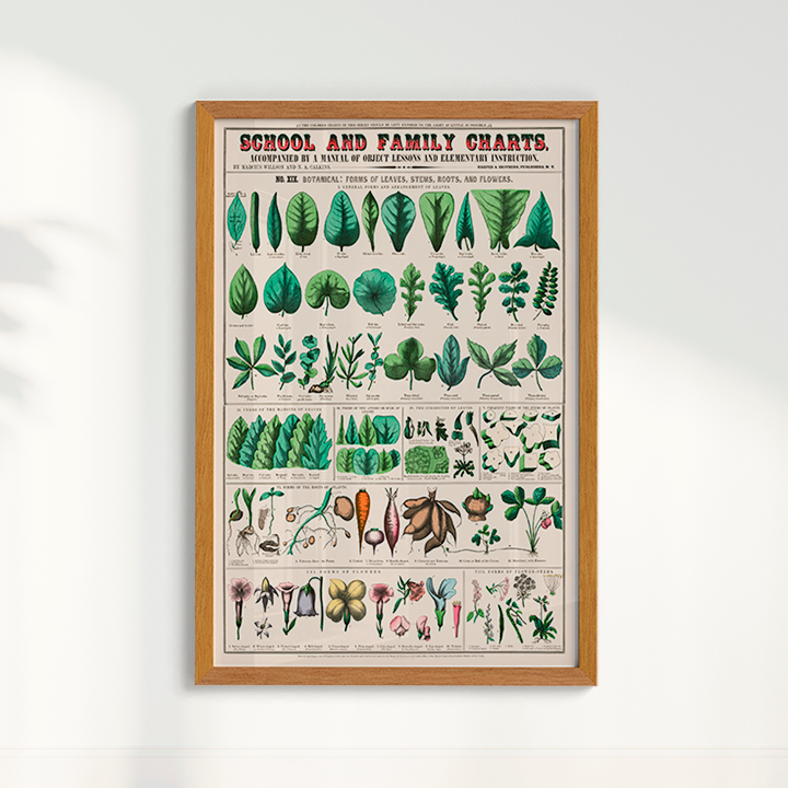 Quadro chart II