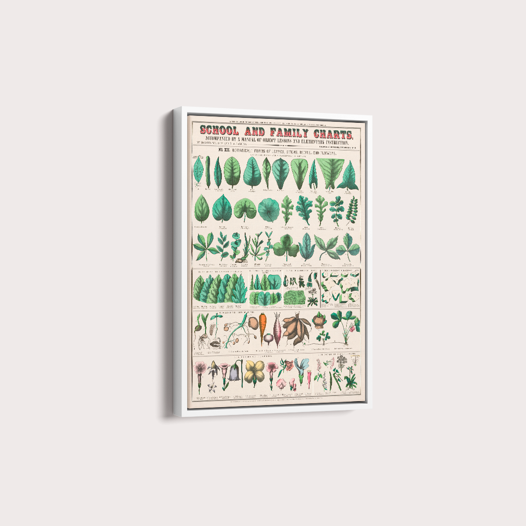Quadro chart II