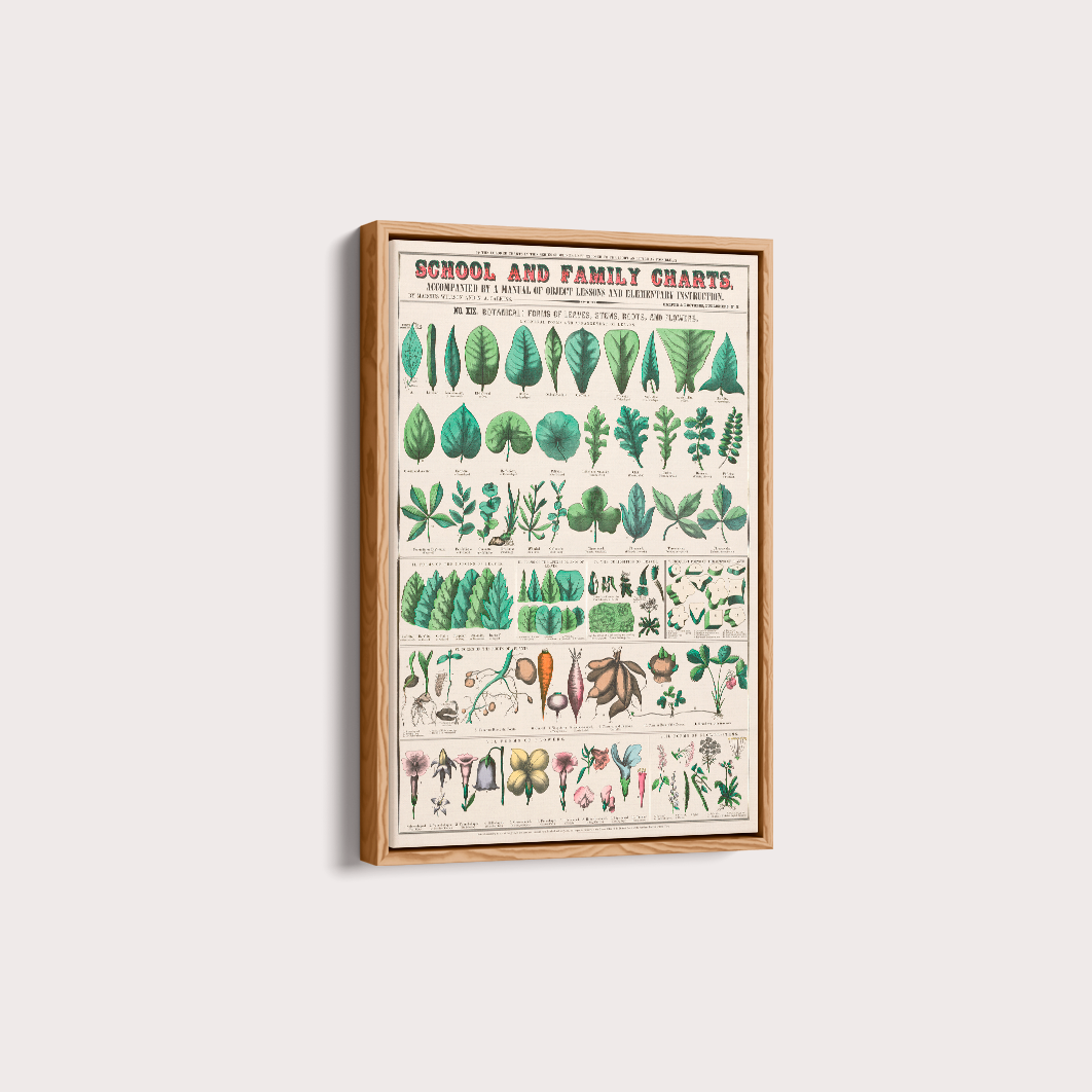 Quadro chart II