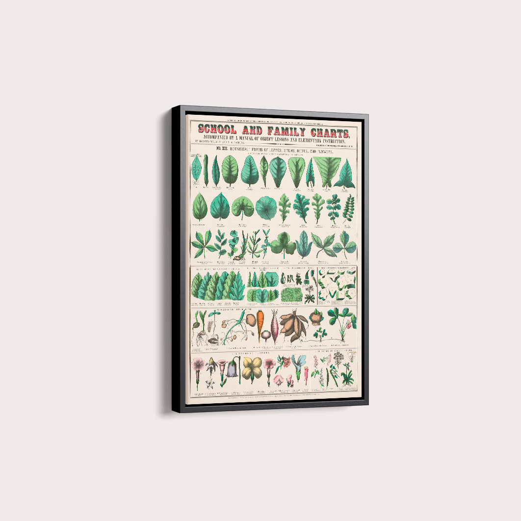 Quadro chart II