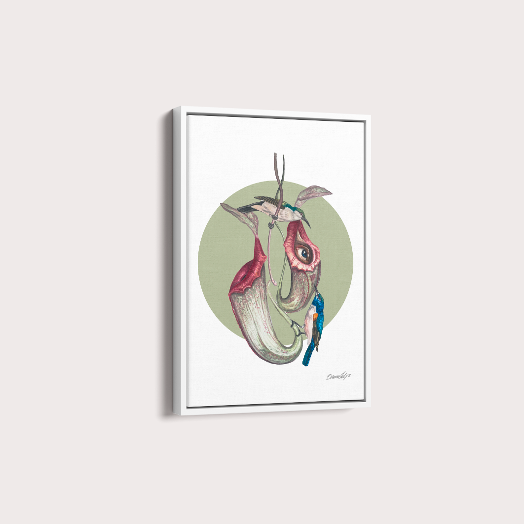 Quadro Colibri por Bruno Felipe