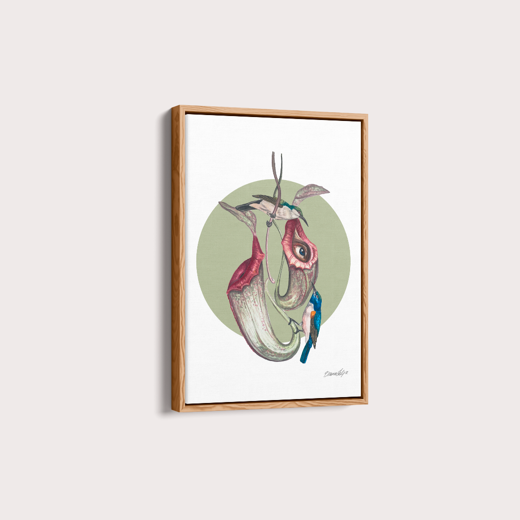 Quadro Colibri por Bruno Felipe