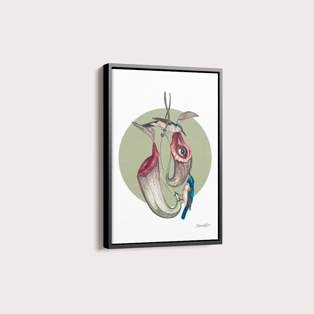 Quadro Colibri por Bruno Felipe
