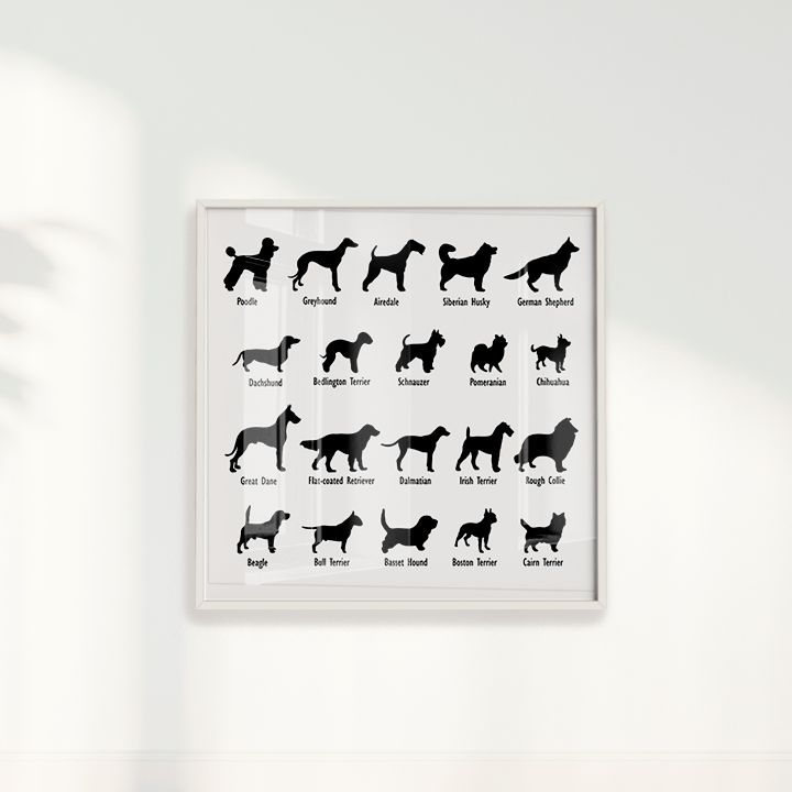 Quadro Dogs