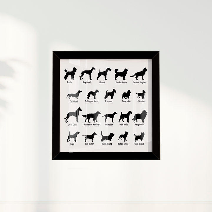 Dogs