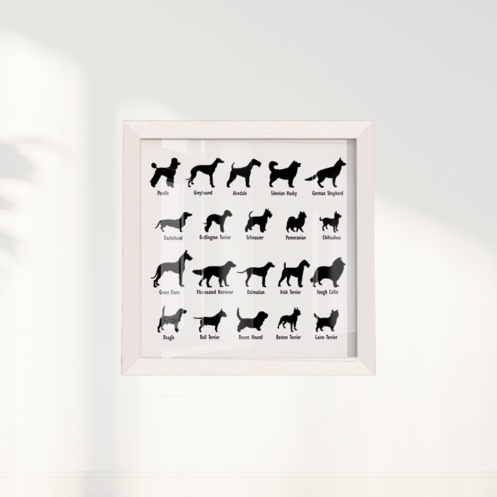 Dogs