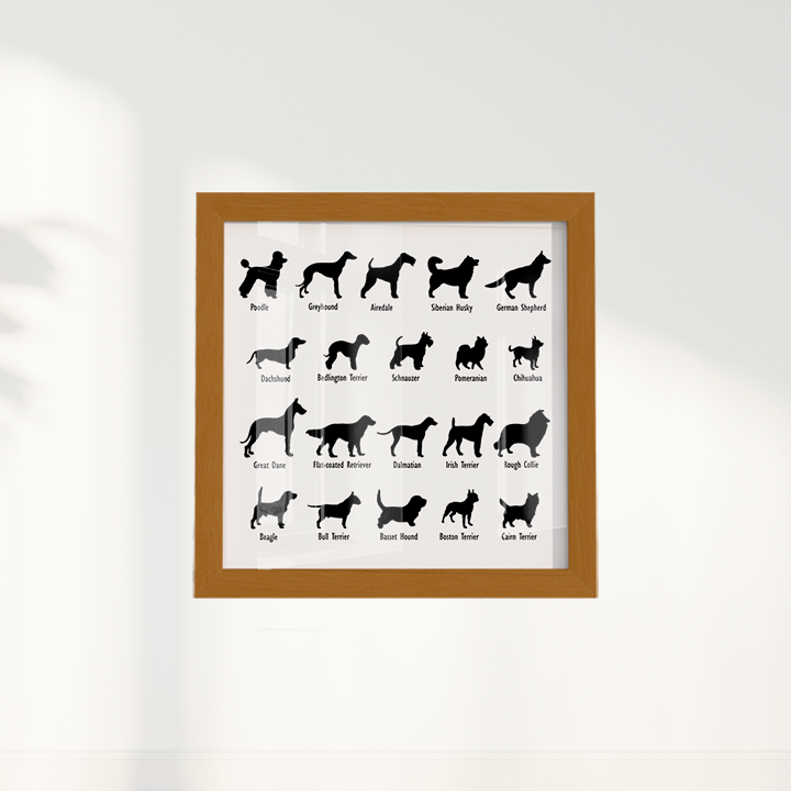 Dogs