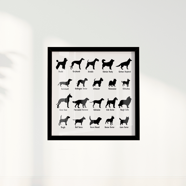 Dogs