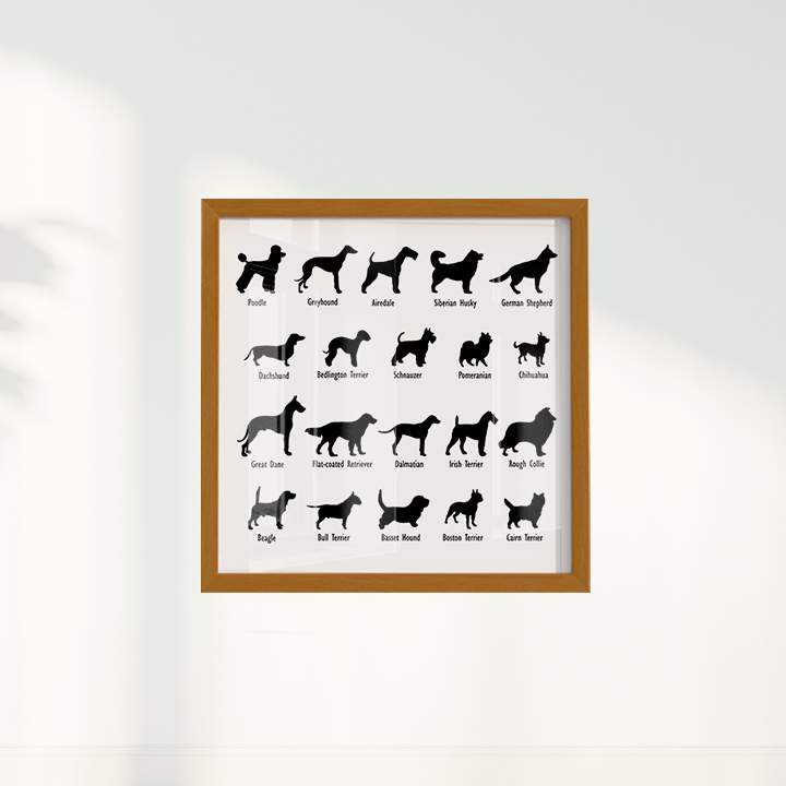 Dogs