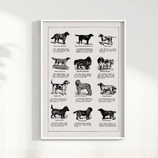 Quadro Vintage Dogs II