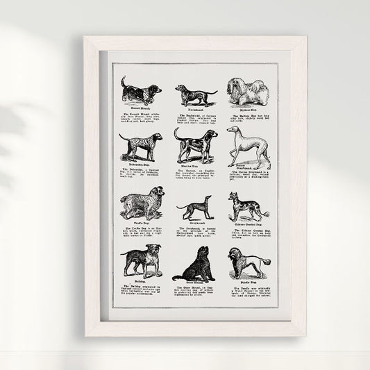 Quadro Vintage Dogs