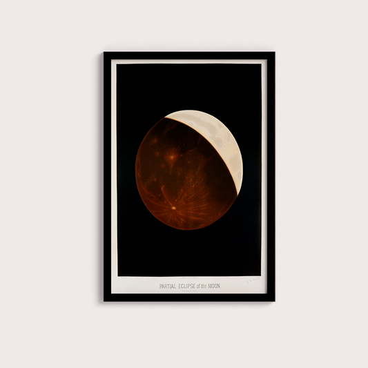 Eclipse da Lua Vintage