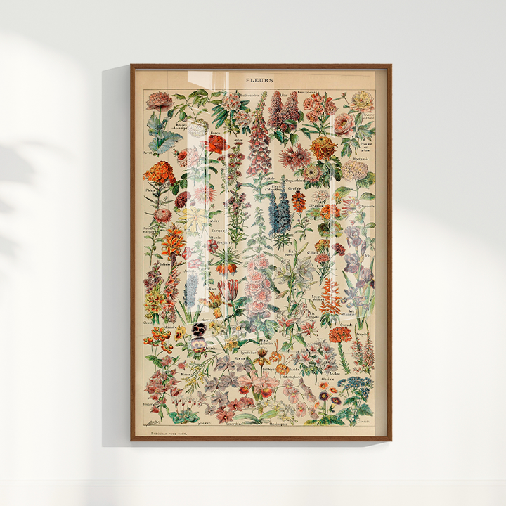 Quadro Fleurs - flores vintage