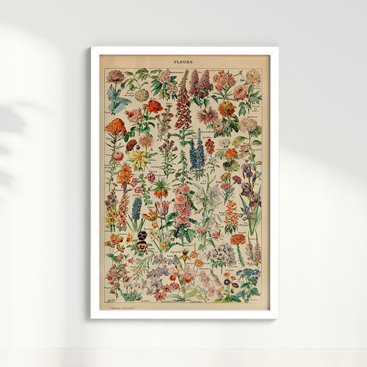 Quadro Fleurs - flores vintage