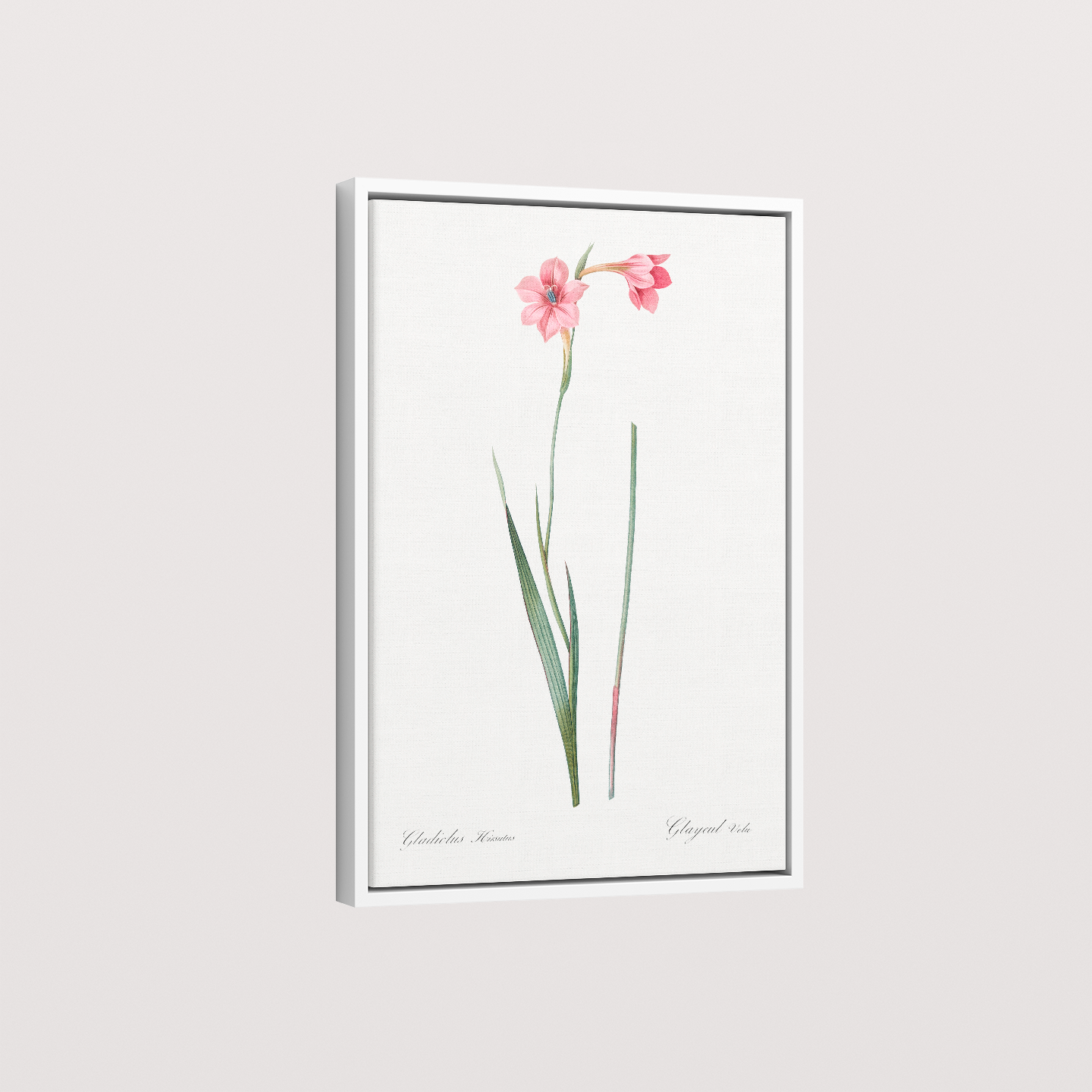 Lily
