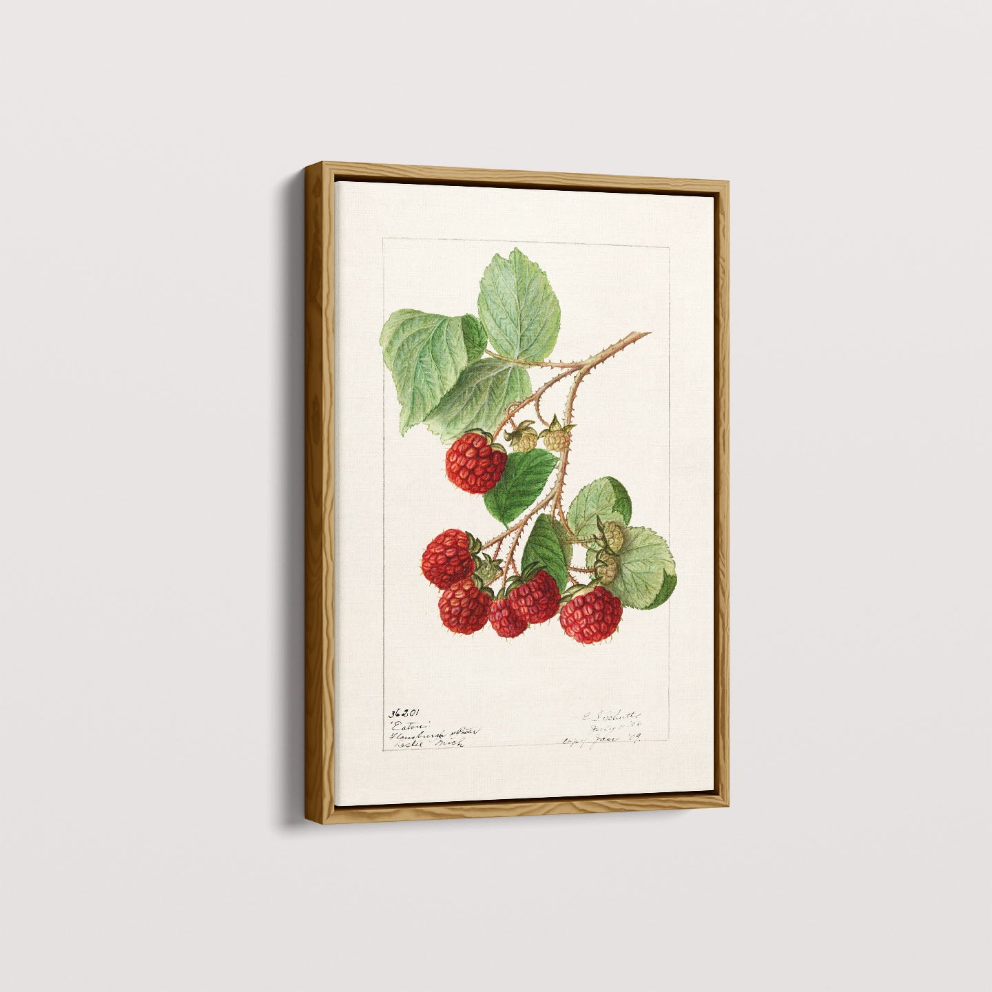 Quadro Framboesa Vintage