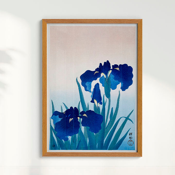Quadro Iris Flowers por Ohara Koson