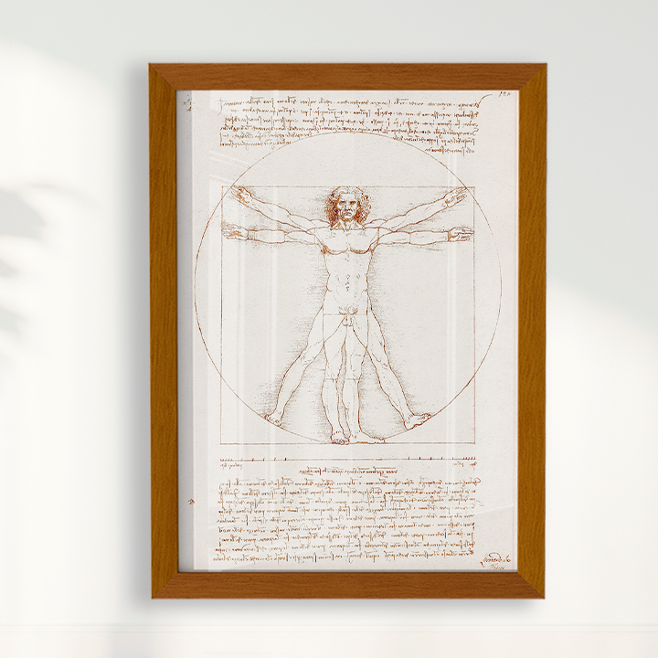 Quadro Leonardo da Vinci's Vitruvian Man