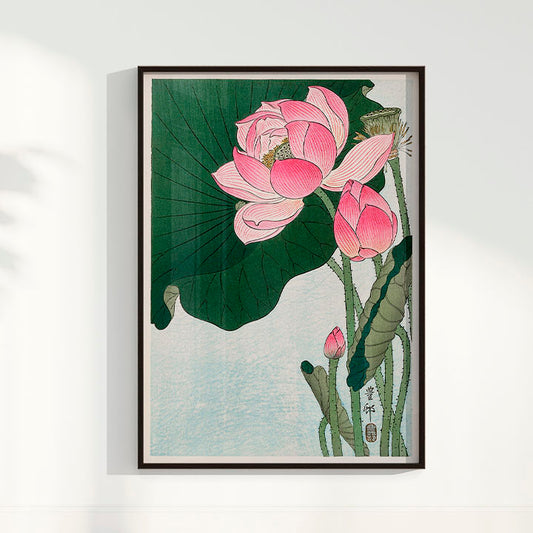 Quadro Blooming lotus flowers por Ohara Koson