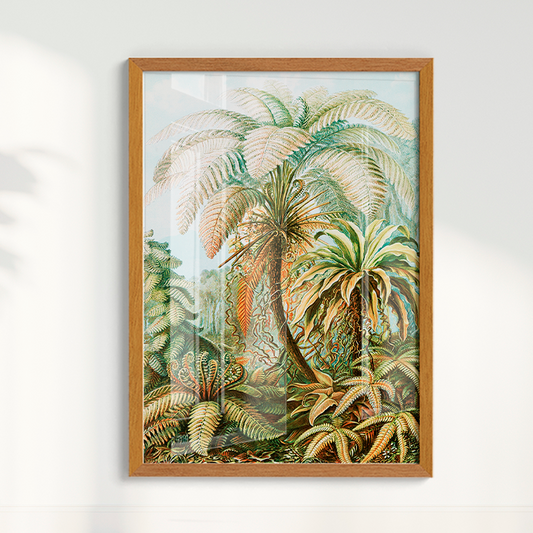 Quadro Botânico Tropical Vintage I