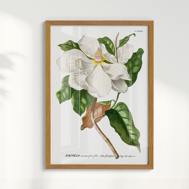 Quadro Magnolia tamanho A1 pronta Entrega
