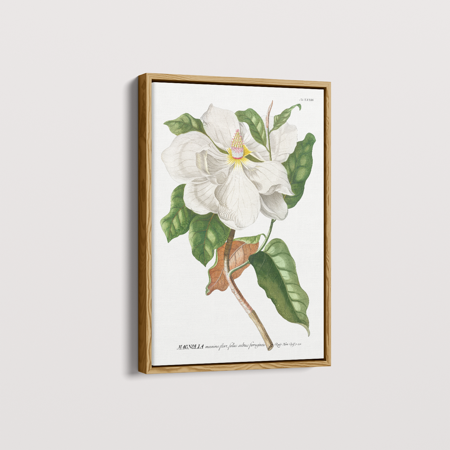 Quadro Magnolia