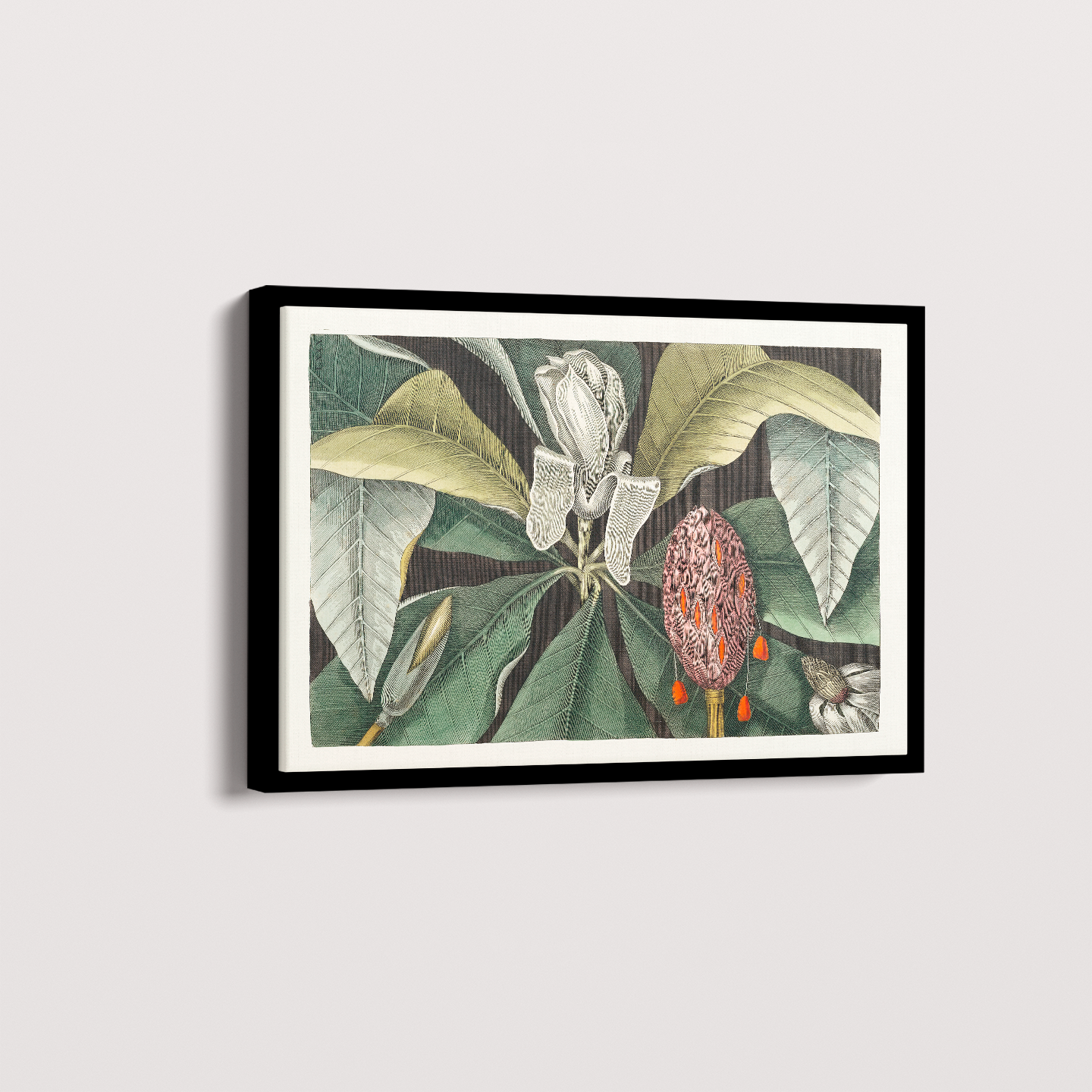 Quadro Magnólia Botânica Vintage Clássica
