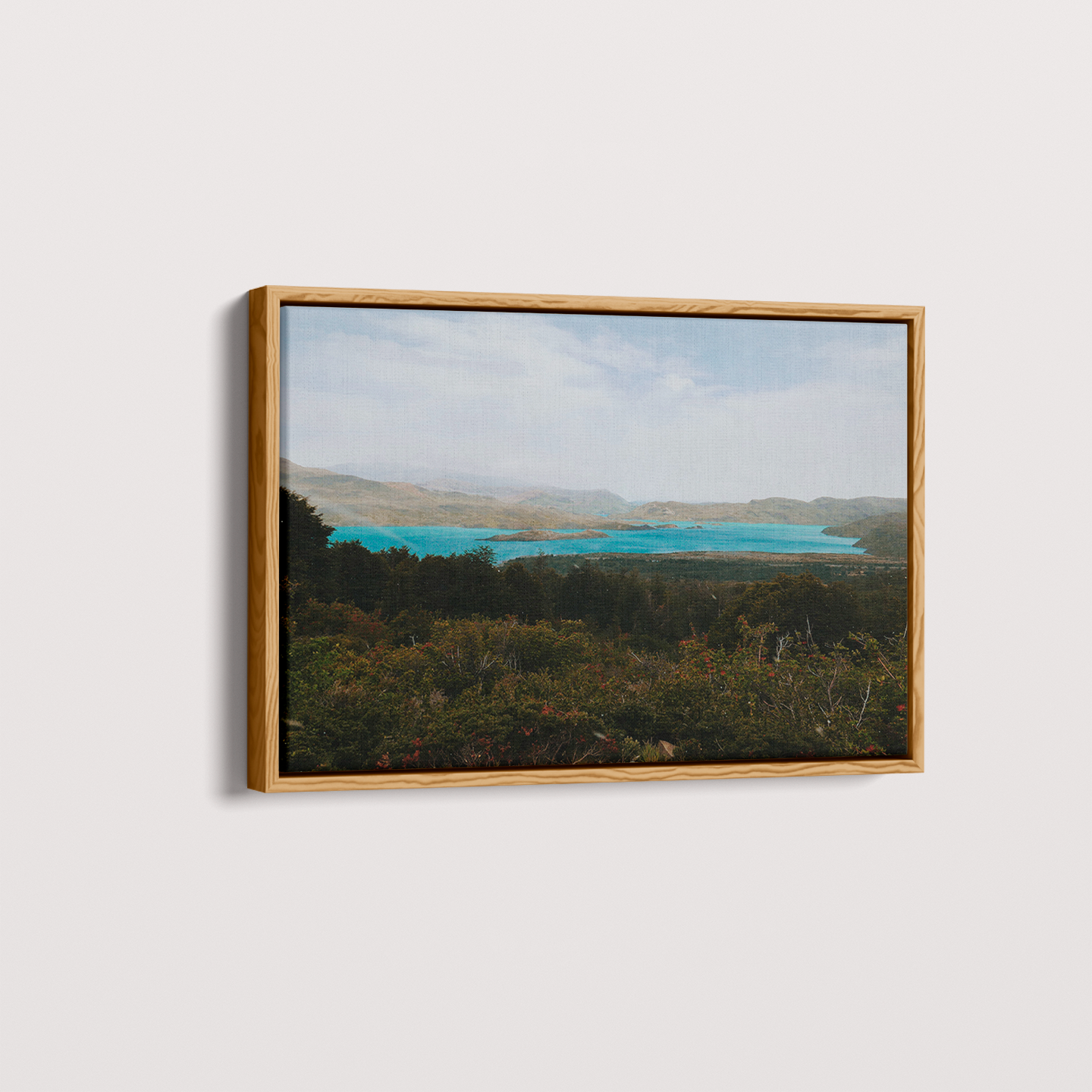 Quadro Patagonia por Camila da Lomba
