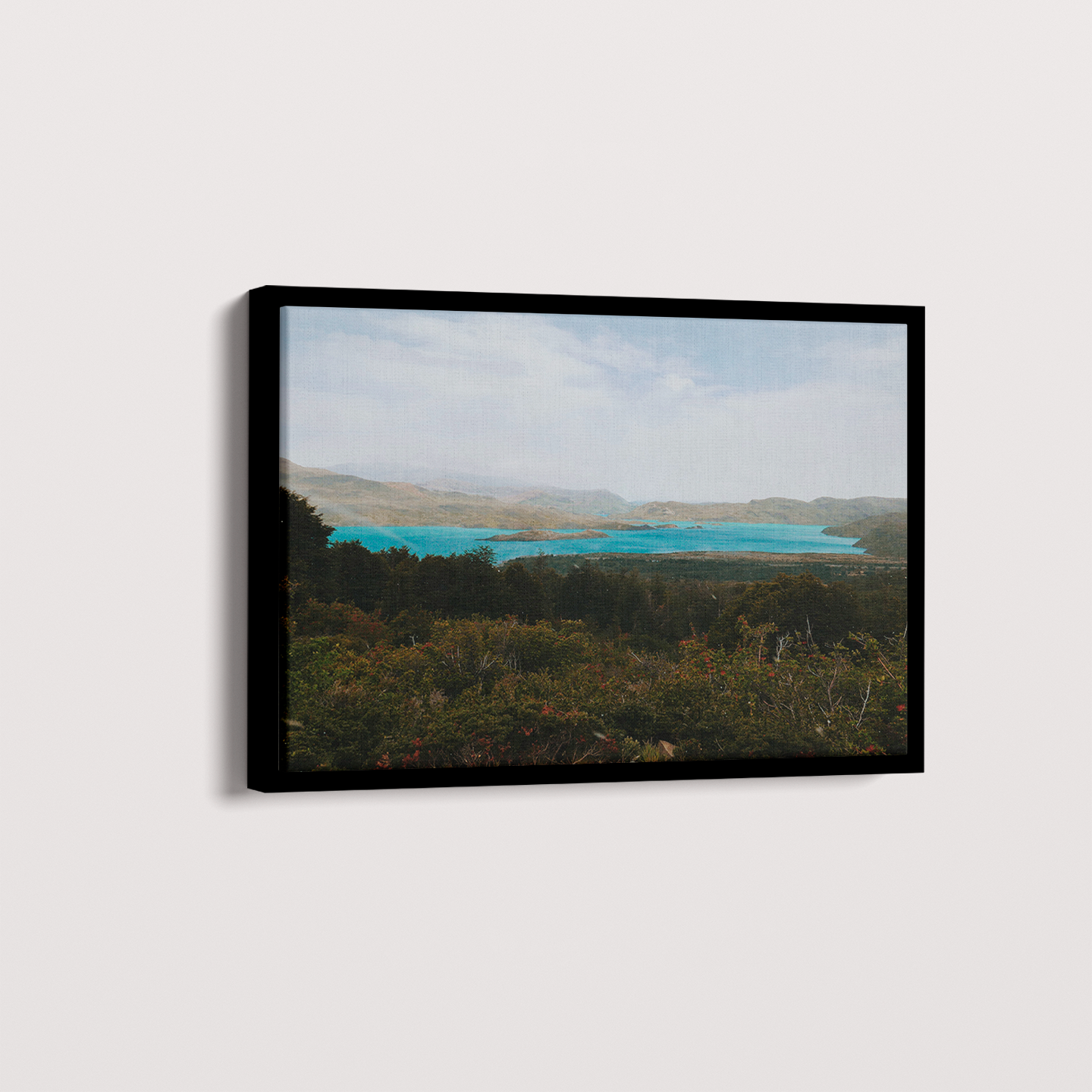 Quadro Patagonia por Camila da Lomba