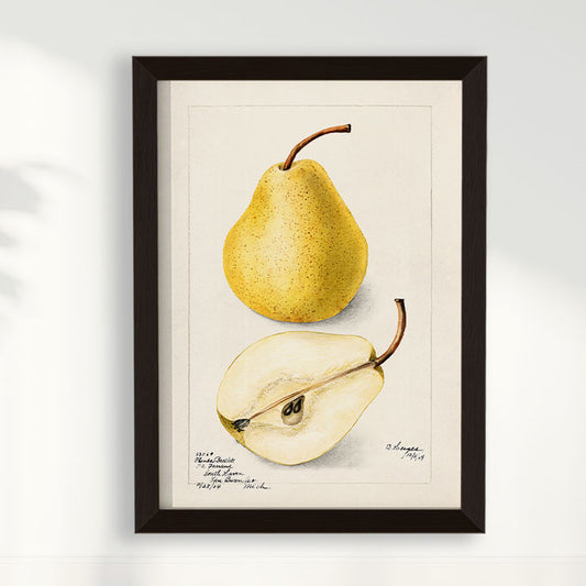 Quadro Pera Vintage