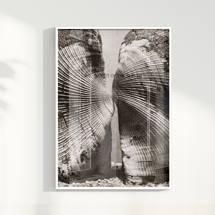 Quadro The Secret of the Shells por Heloisa Camargo