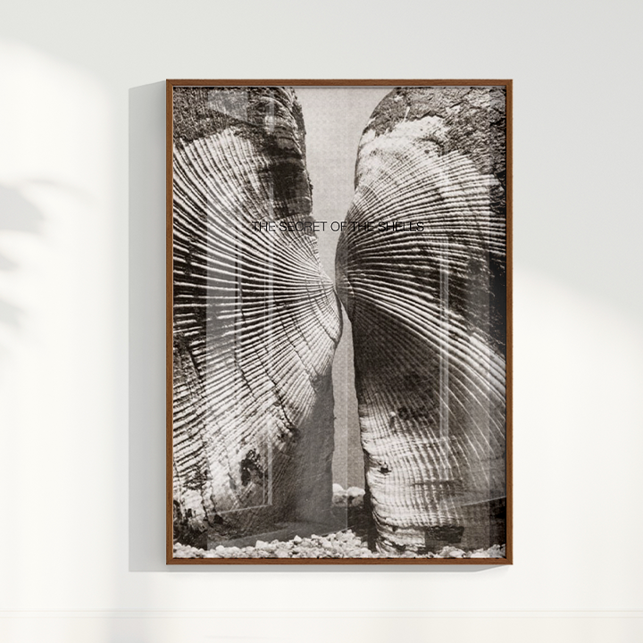 Quadro The Secret of the Shells por Heloisa Camargo