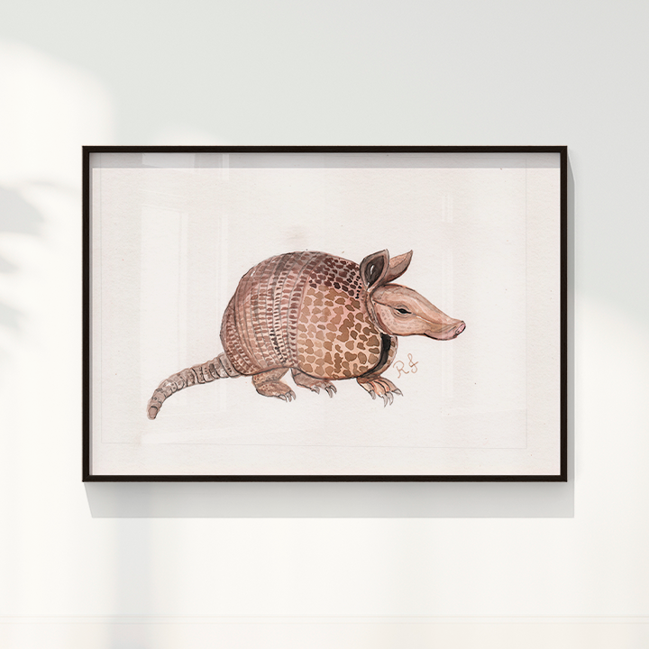 Quadro Tatu por Rayana Karoline