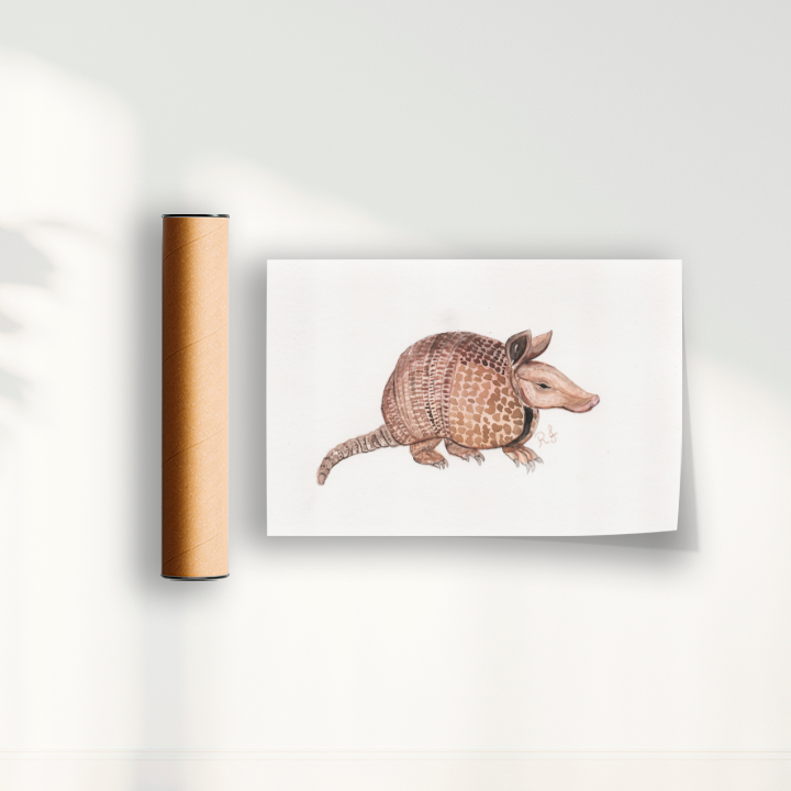 Quadro Tatu por Rayana Karoline